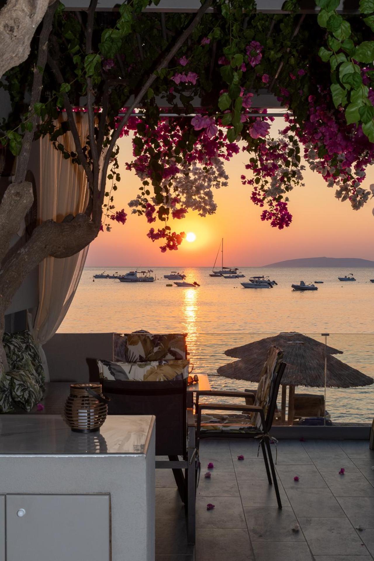 Buganvilla-sea Front Villa Agia Pelagia (Crete)